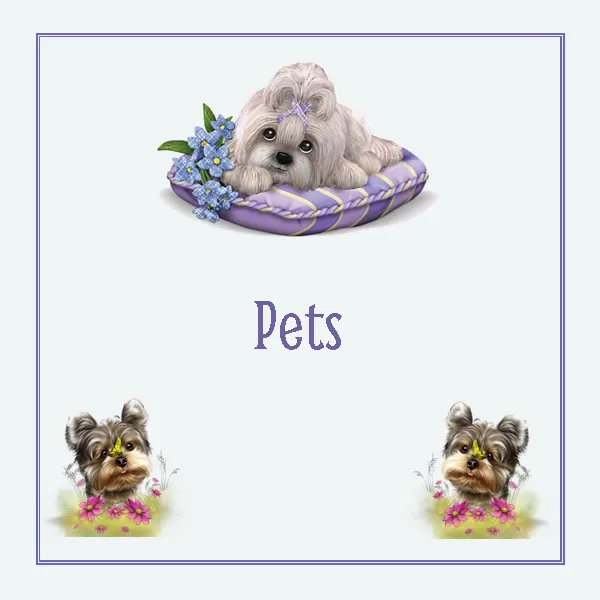 quilt labels for pets quilt labels for pets