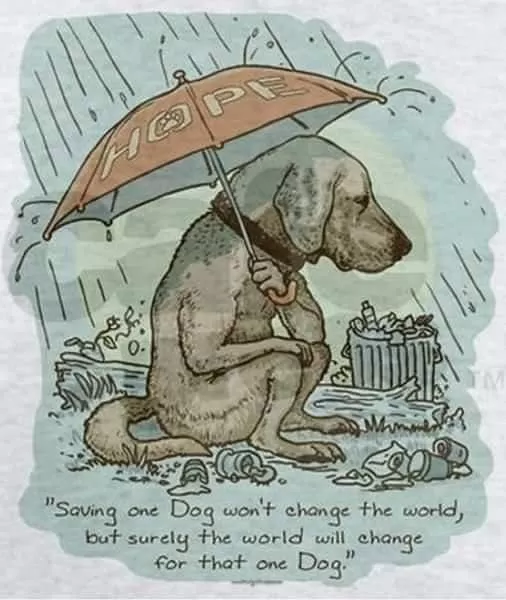 Quilt stories keep a memory alive Quilt stories keep a memory alive