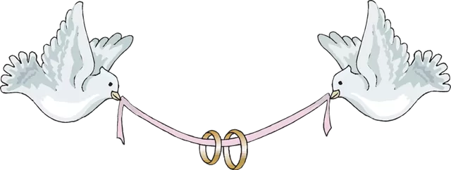 two birds ribbon and wedding rings two birds ribbon and wedding rings