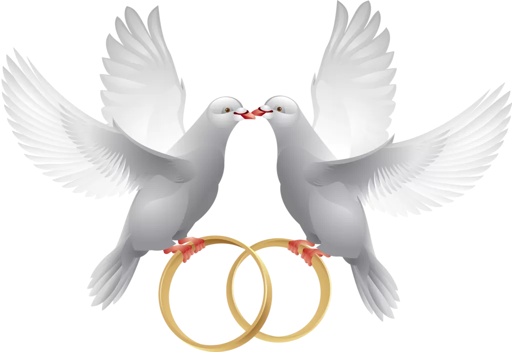 two doves and wedding rings two doves and wedding rings
